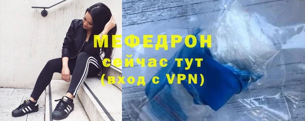 спиды Ельня