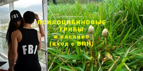 дурь Белокуриха