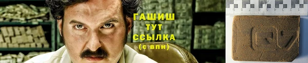стафф Богданович