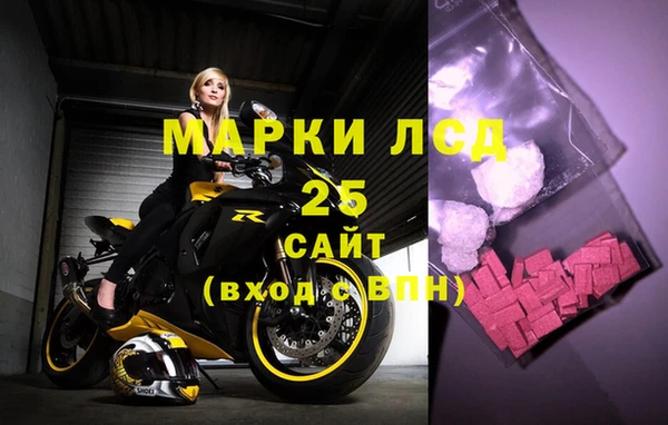 стафф Богданович
