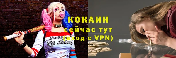 COCAINE Богородицк