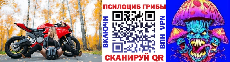Галлюциногенные грибы Psilocybine cubensis Мещовск